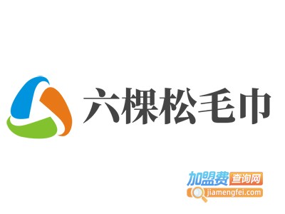 六棵松毛巾加盟费