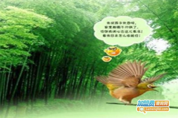 竹福音竹纤维加盟费