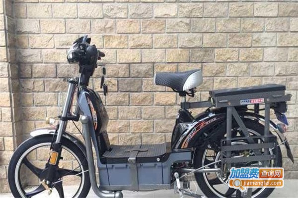 赛峰电动车加盟费