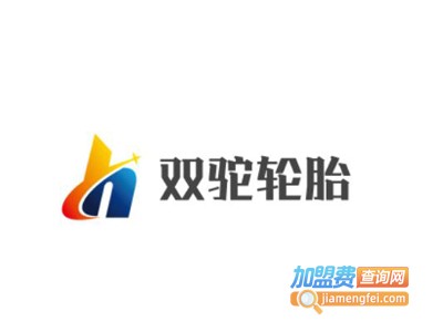 双驼轮胎加盟费
