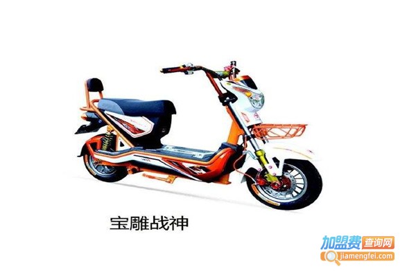 宝雕电动车