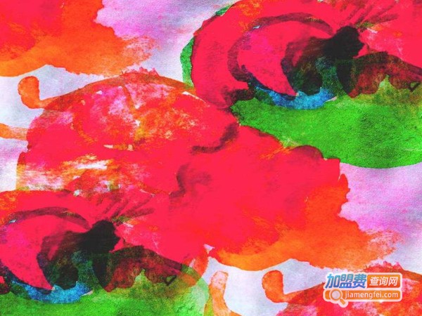 子典全景画加盟费