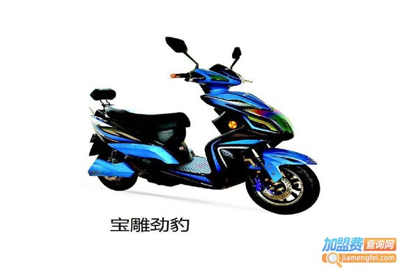 宝雕电动车