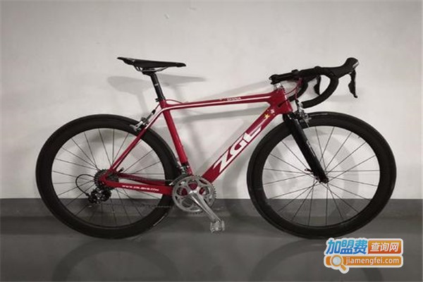 ZGL碳纤维自行车加盟费