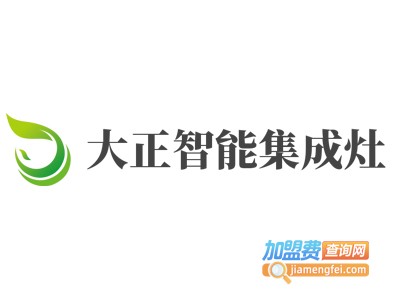 大正智能集成灶加盟费