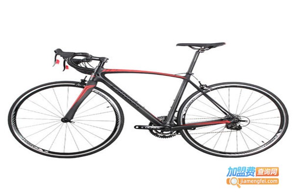 ZGL碳纤维自行车加盟费