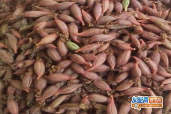 湘字乌红杂交天麻加盟费