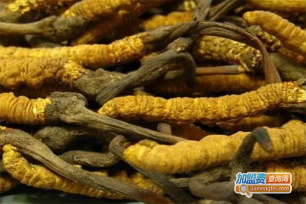 搭饶古虫草加盟费
