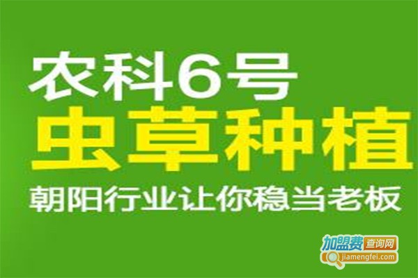 农科6号北虫草加盟费