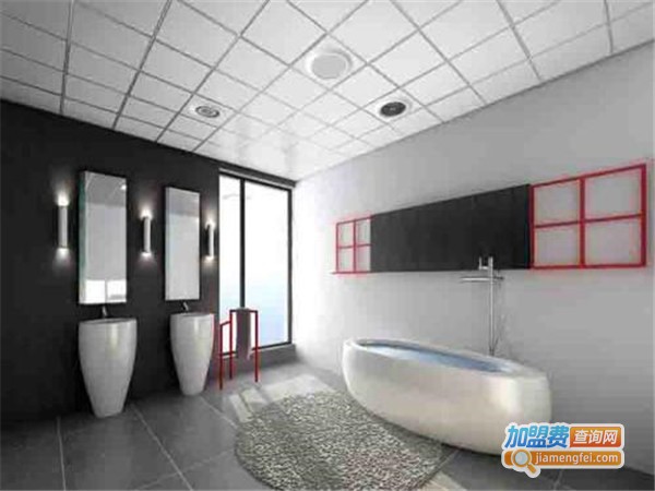 特丽达集成吊顶加盟门店