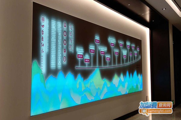 动感天下智能家加盟门店