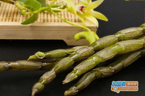 华夏铁皮石斛加盟费