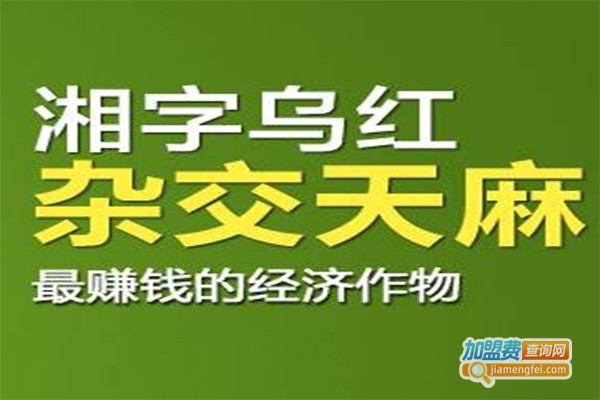 湘字天麻加盟费