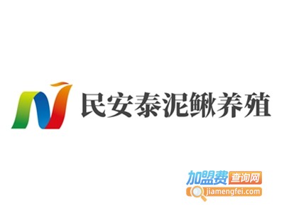 民安泰泥鳅养殖加盟电话