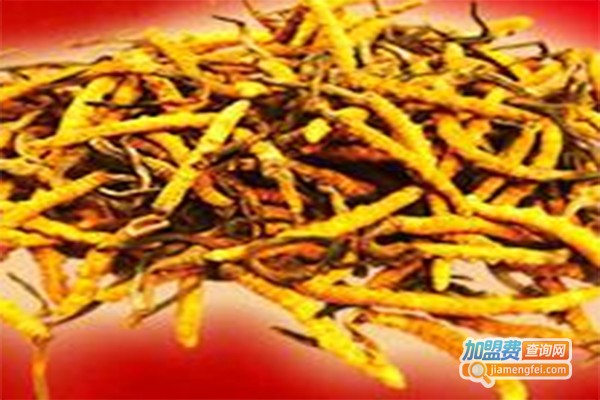 兴农黄金草加盟费