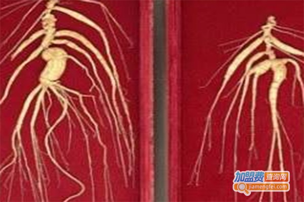 中发惠民6号红参加盟费