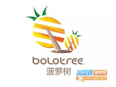 菠萝树儿童玩具加盟费