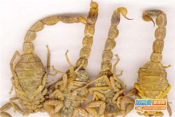 润农东亚药蝎加盟费