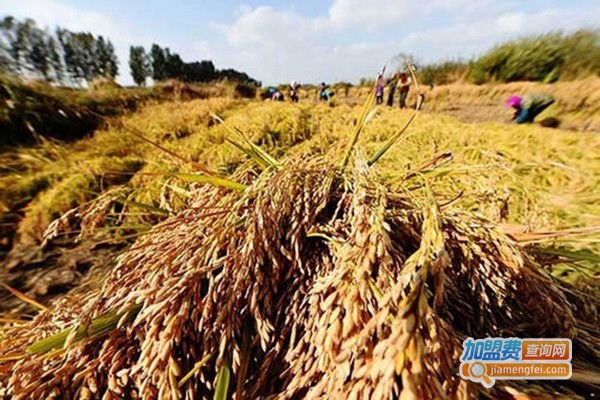 五常市新普里种植加盟门店