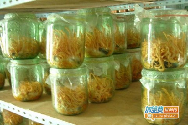 烽火时代金虫草加盟门店