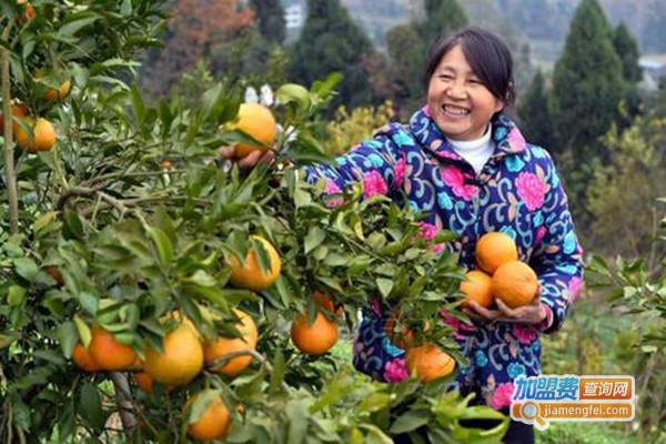 果树种植加盟门店