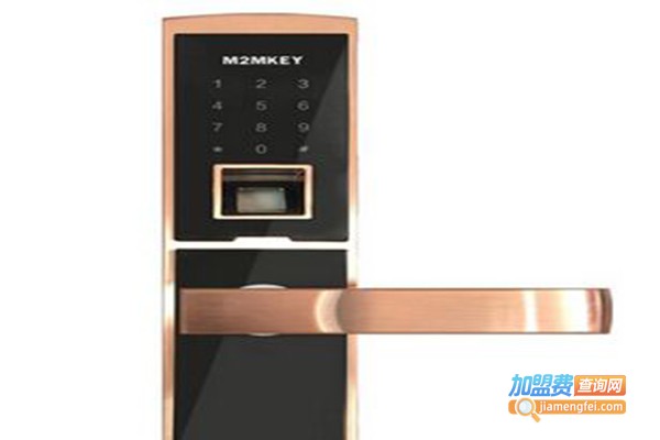 家盯互动智能安防加盟门店
