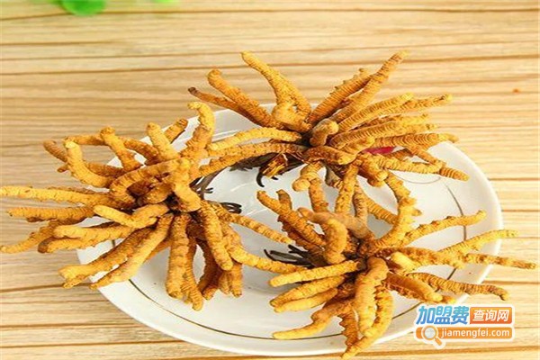 东方虫草养殖加盟费