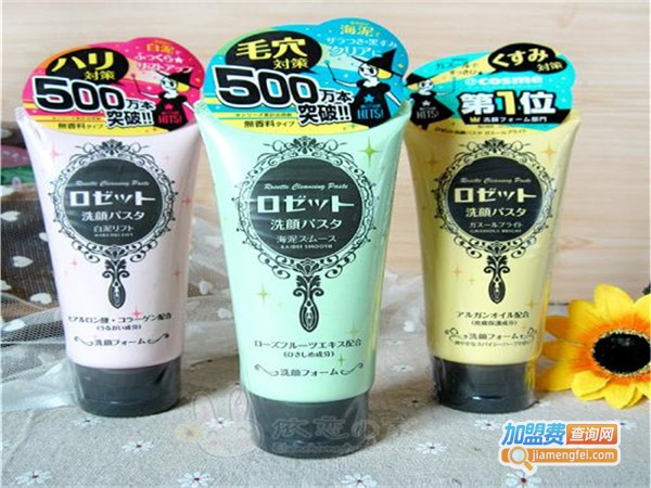 好好霞奈露化妆品加盟门店