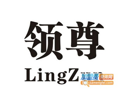 领尊灯饰加盟费