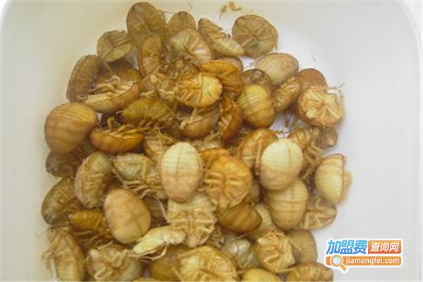 龙昌8号土元加盟费