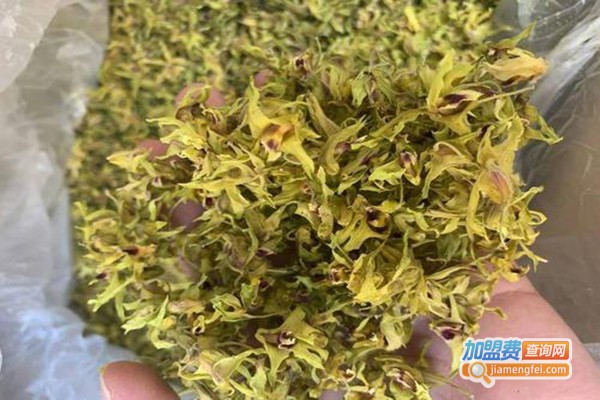 惠农铁皮石斛加盟门店