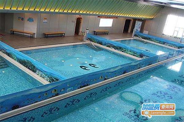 海乐高亲子游泳加盟费