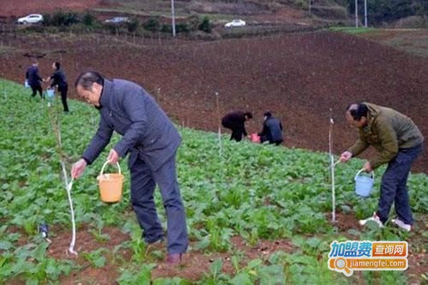 安利康植物酶加盟门店