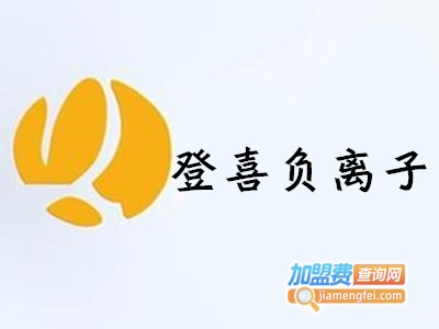 登喜负离子节能灯加盟费