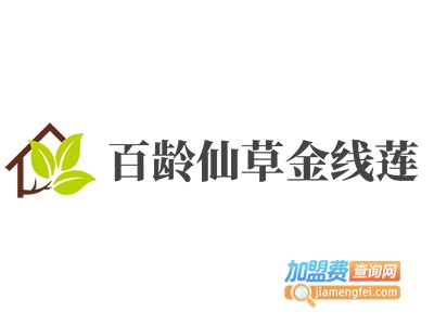 百龄仙草金线莲加盟费