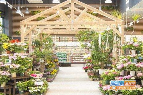 花仙缘花店加盟费