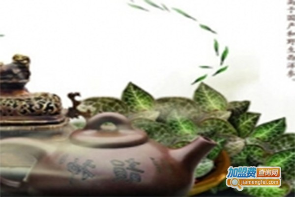 百龄仙草金线莲加盟费