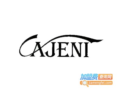 AJENI韩版女装加盟