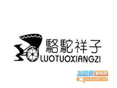 骆驼祥子蓄电池修复加盟