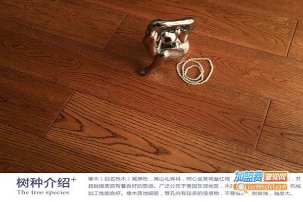 威尔骑派地板加盟门店