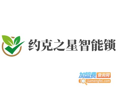 约克之星智能锁加盟费