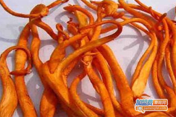 中科9号蛹虫草加盟费