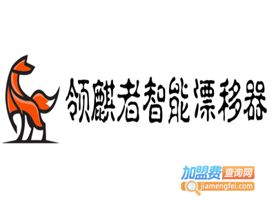 领麒者智能漂移器加盟电话