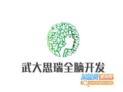 武大思瑞全脑开发加盟电话