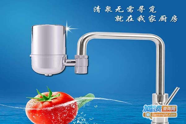 振慧水之家净水器加盟门店