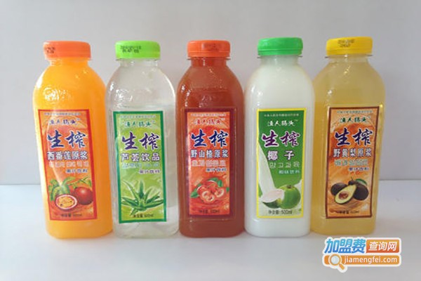 粒汁健饮料加盟费