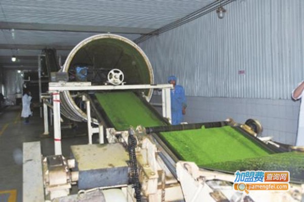 茶叶包加工设备加盟门店