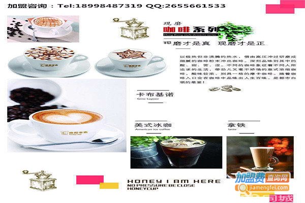 哈尼卡布潮饮加盟费