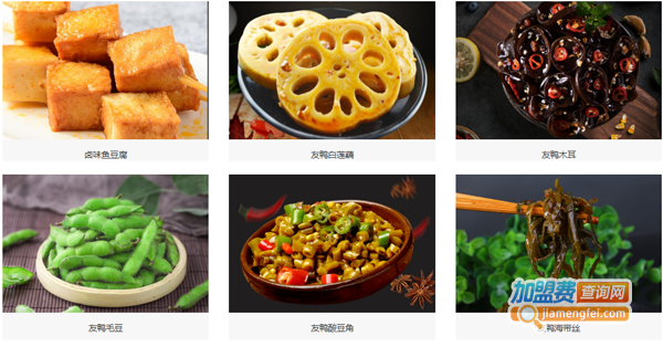 友鸭鸭脖加盟费