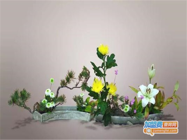 度美到家除甲醛加盟门店